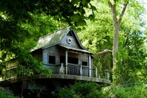 Tree House Accommodations Around the World